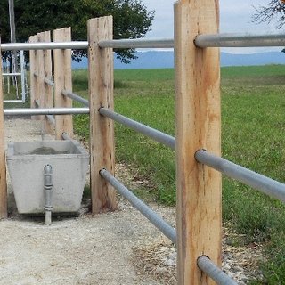 Koppelzaun aus Eichenschwellen