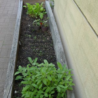 Beet aus Eichenbrettern