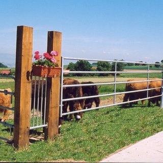 Kuhweide mit Eichenschwellen